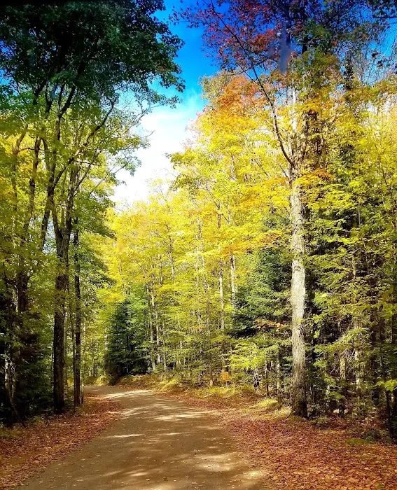 Presque Isle Campground 1