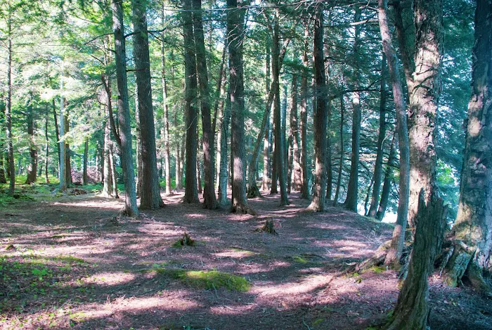 Cedar Campground 0
