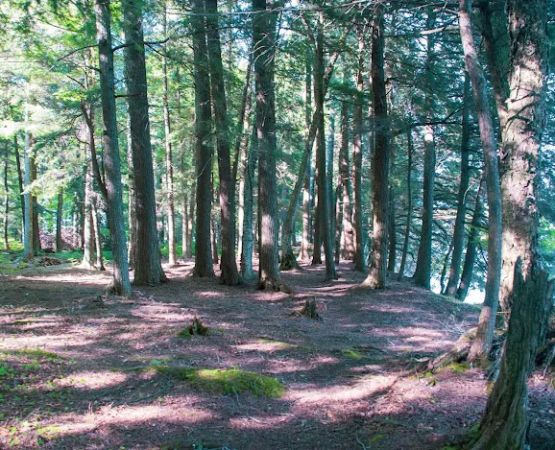 Cedar Campground
