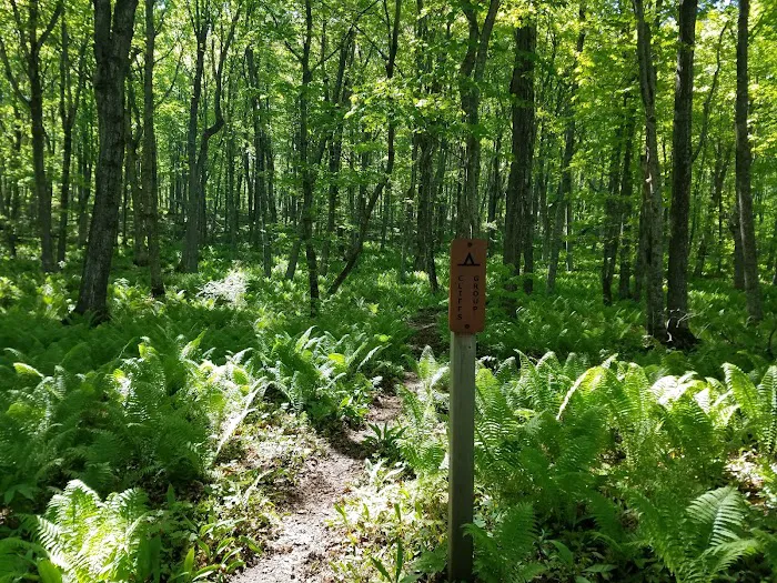 Cliffs Group Campsite 2
