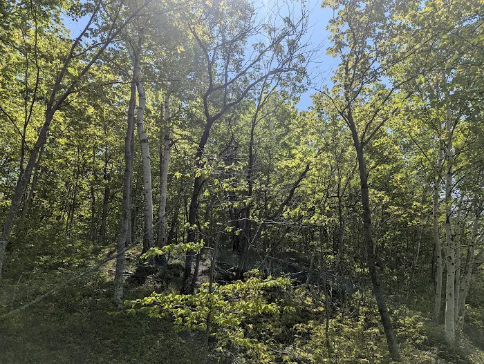 Cliffs Group Campsite 5