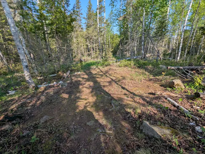 Wood Lake Campground 5