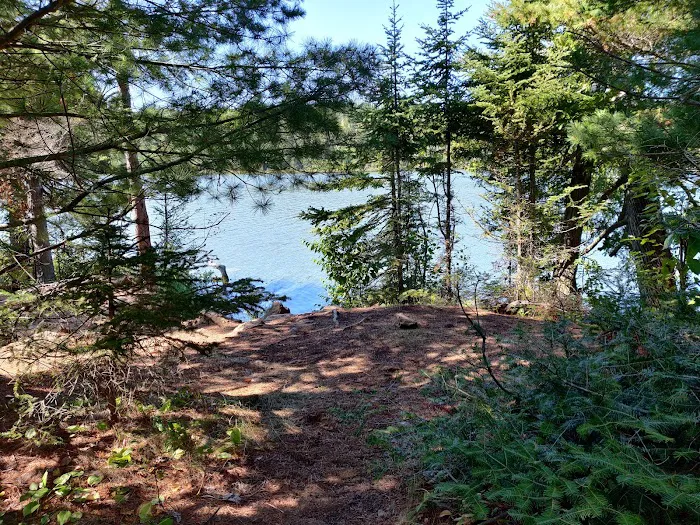 West Chickenbone Lake Campground 2