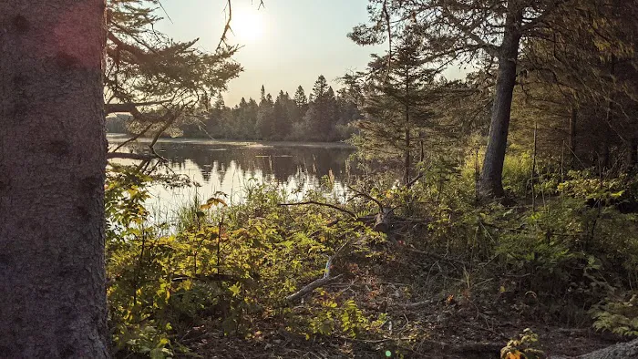 Feldtmann Lake Campground 2