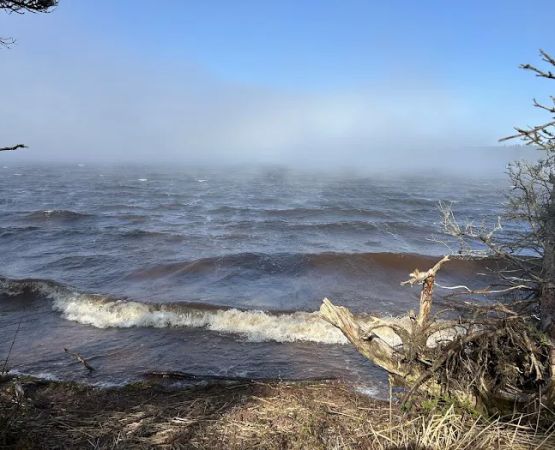 Feldtmann Lake Campground
