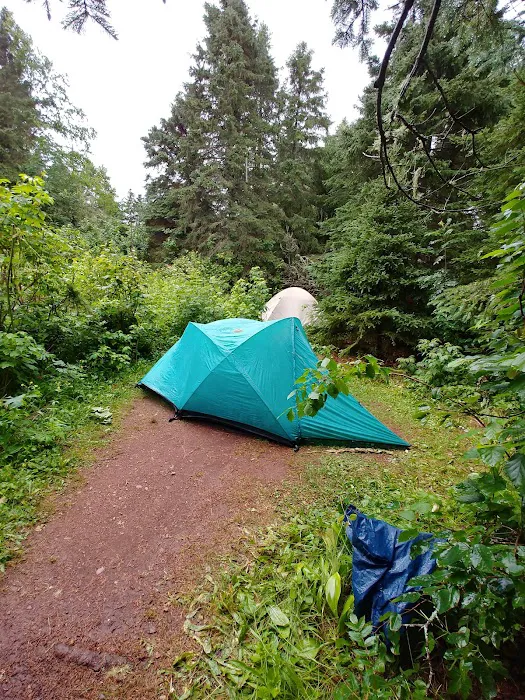 Feldtmann Lake Campground 6