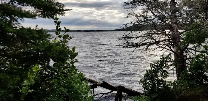 Feldtmann Lake Campground 3