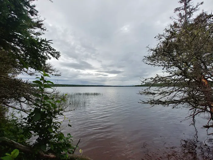 Feldtmann Lake Campground 8