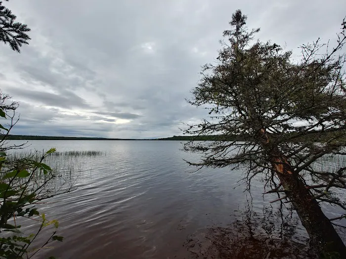 Feldtmann Lake Campground 7