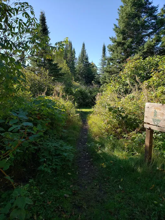 Grace Island Campground 7