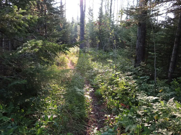 Lake Richie Campground 3