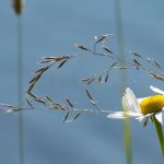 McCargoe Cove Campground