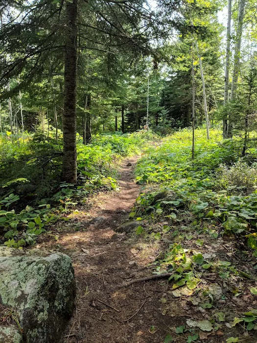 McCargoe Cove Campground 9