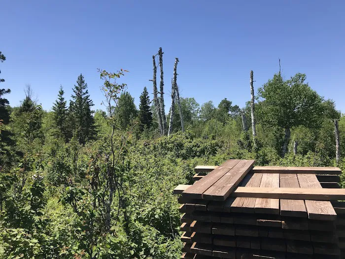 East Chickenbone Lake Campground 2