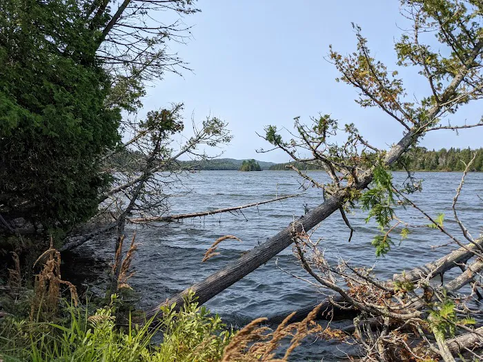 East Chickenbone Lake Campground 6