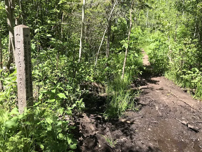 East Chickenbone Lake Campground 3