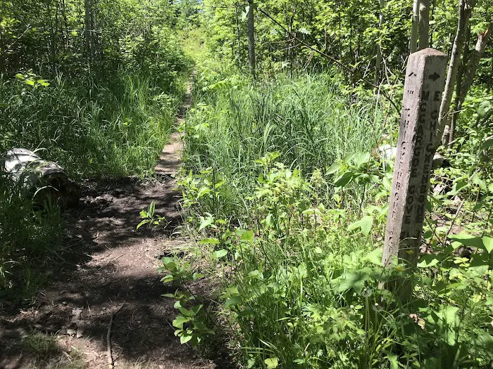 East Chickenbone Lake Campground 7