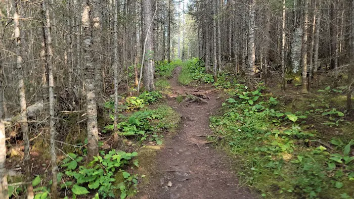 Moskey Basin Campground 7