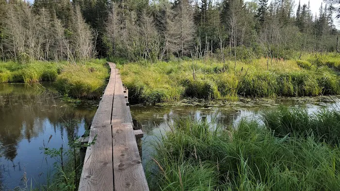 Moskey Basin Campground 1