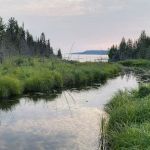 Moskey Basin Campground
