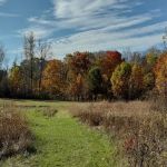 Kendallville Park & Recreation