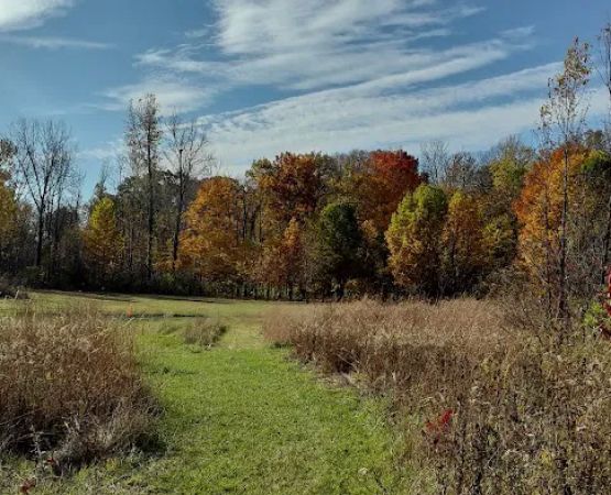 Kendallville Park & Recreation