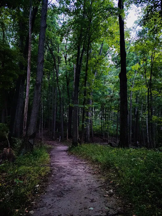 Bixler Lake Campground 6
