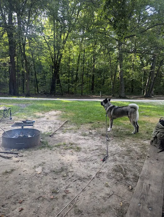 Chain O’ Lakes Campground 2