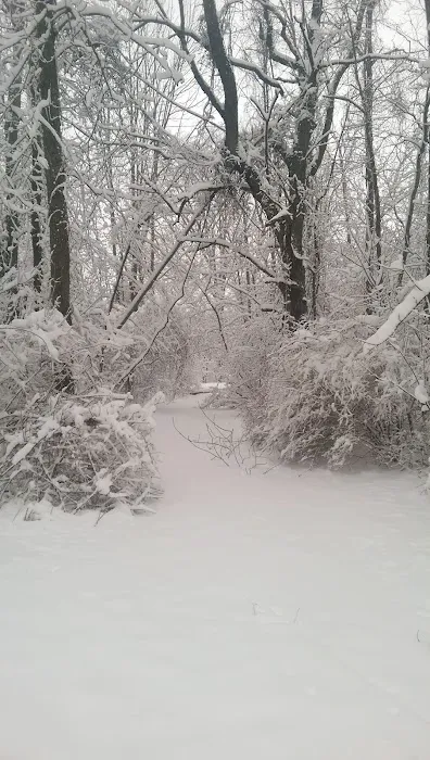 P.L. Graham Park / Campground 4