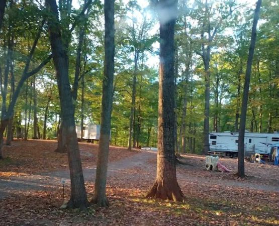Forest Ridge Family Campground