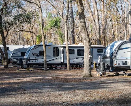 Spacious Skies Campgrounds - Savannah Oaks