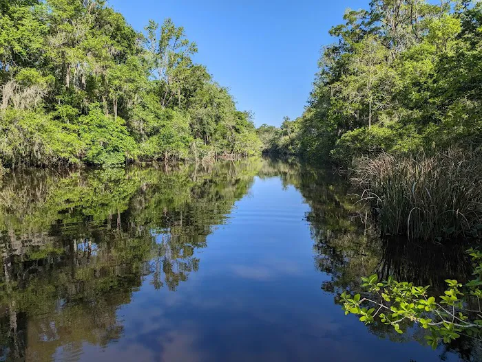 Spacious Skies Campgrounds - Savannah Oaks 3