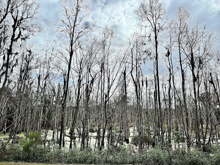 Creek fire 0
