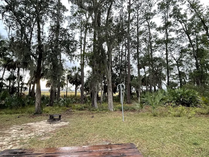 Fort McAllister Campground 1