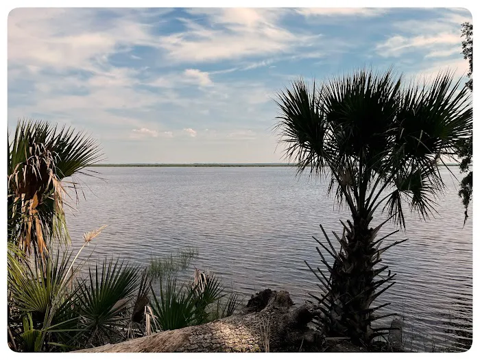 Fort McAllister Campground 2