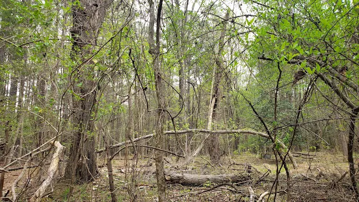 Parkers Creek Campground 1