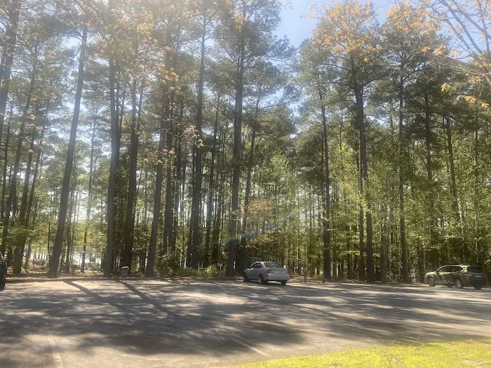 Parkers Creek Campground 9