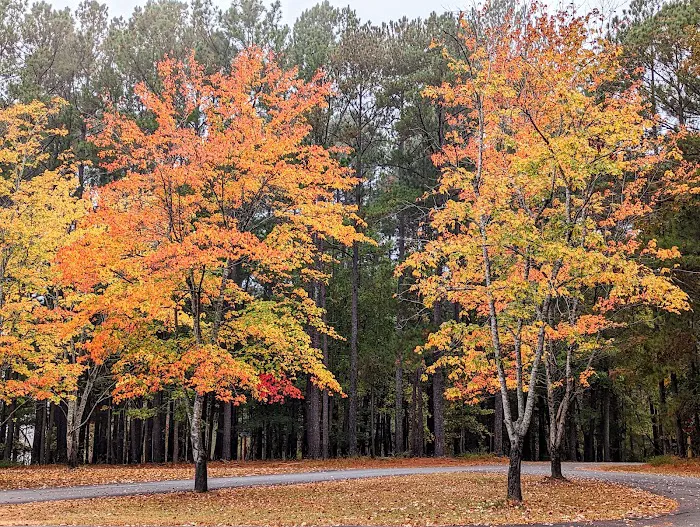 Vista Point Campground 6