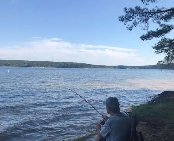 Vista Point Campground