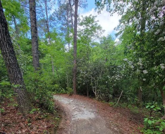 Raven Rock State Park Campground