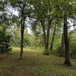 Hidden River Camping