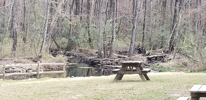 Ranger Station 1