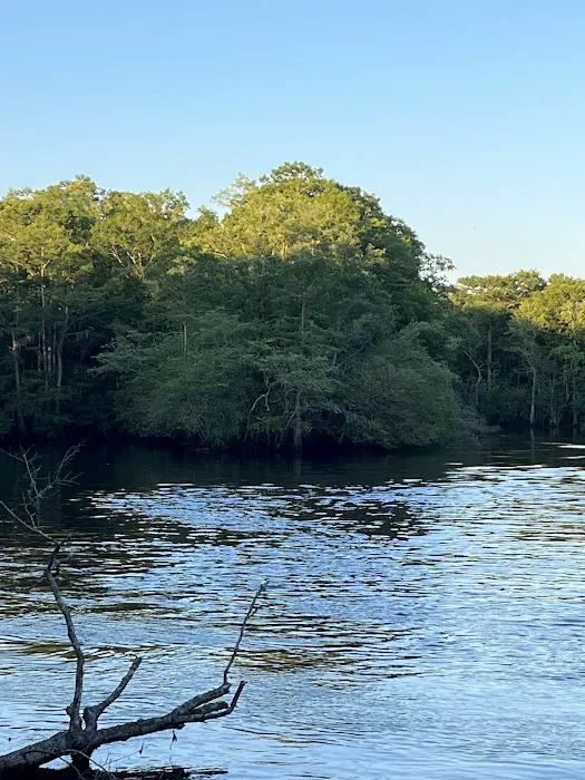 Jeffcoat's Black Water Campground 3