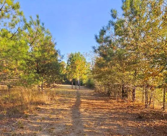 Idlewild Farm Stays