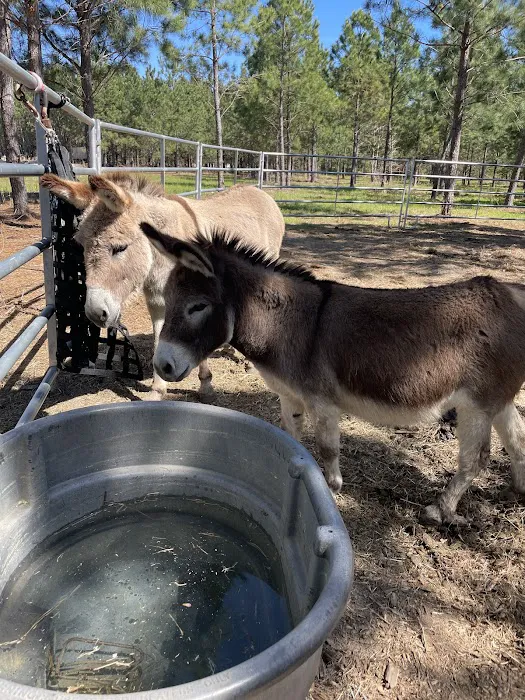 Idlewild Farm Stays 8