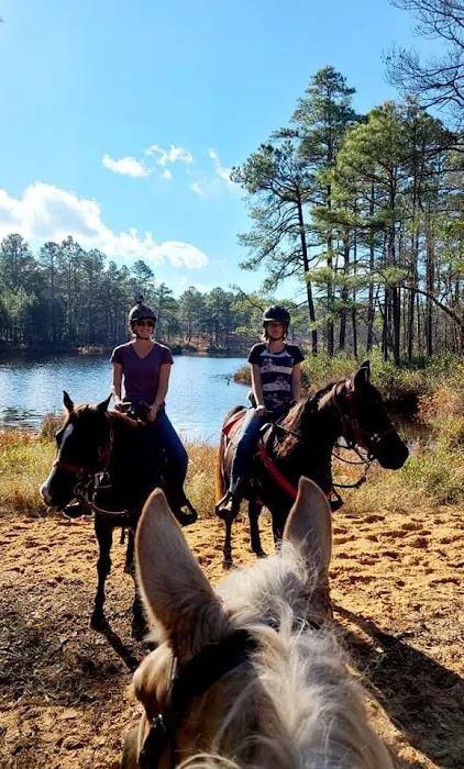 Daily Walk Stables CAMPGROUND 3