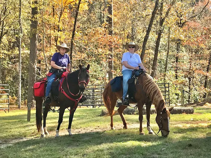Daily Walk Stables CAMPGROUND 9