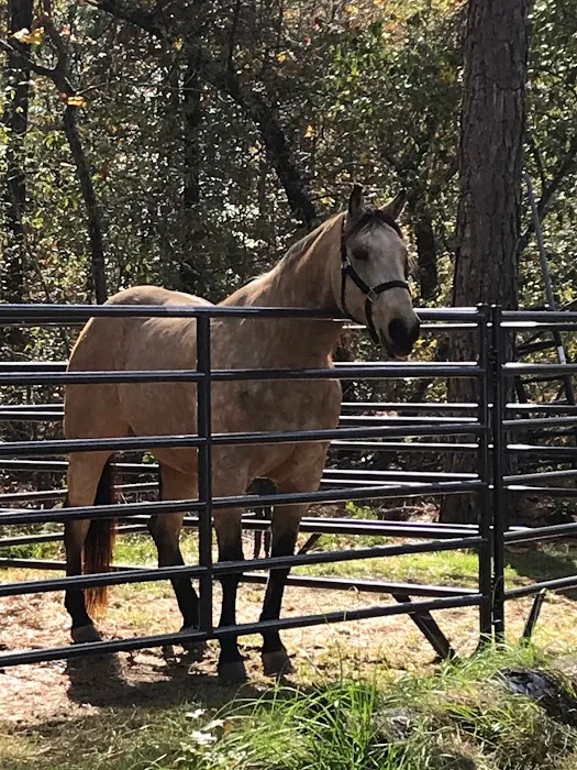 Daily Walk Stables CAMPGROUND 1