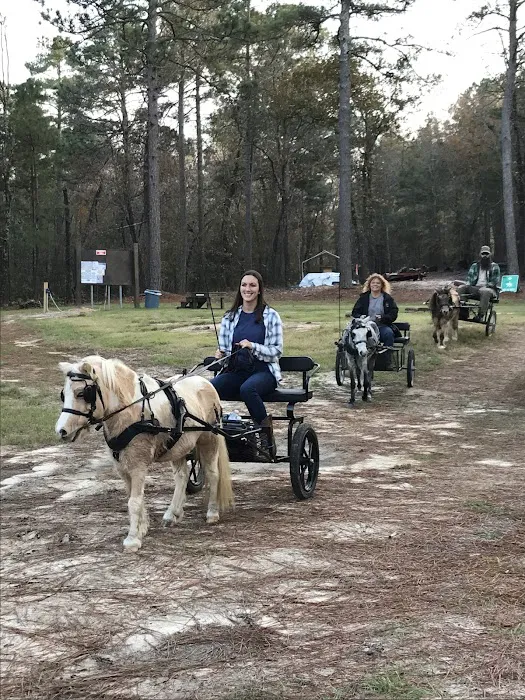 Daily Walk Stables CAMPGROUND 6