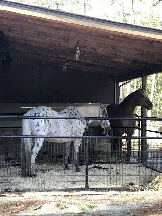Daily Walk Stables CAMPGROUND 8